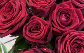 bouquet de roses rouges