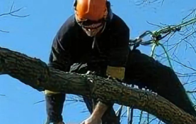 Tronçonnage de bois - LONGUECHAUD FLORIAN à Gujan-Mestras