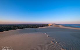 Dune au clair de Lune