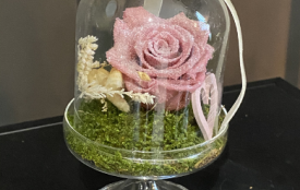 Une rose sous une cloche en verre