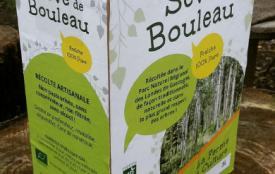 Seve de Bouleau