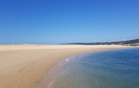 Découverte de la dune du Pyla